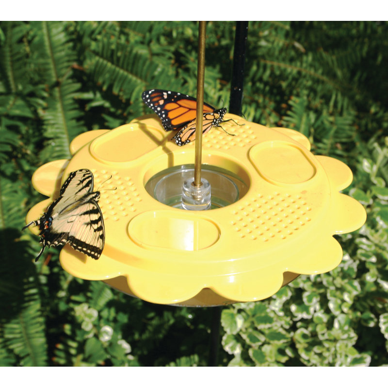 Birds Choice Butterfly Feeder for 12 oz. Nectar with Fruit Trays Reviews Wayfair